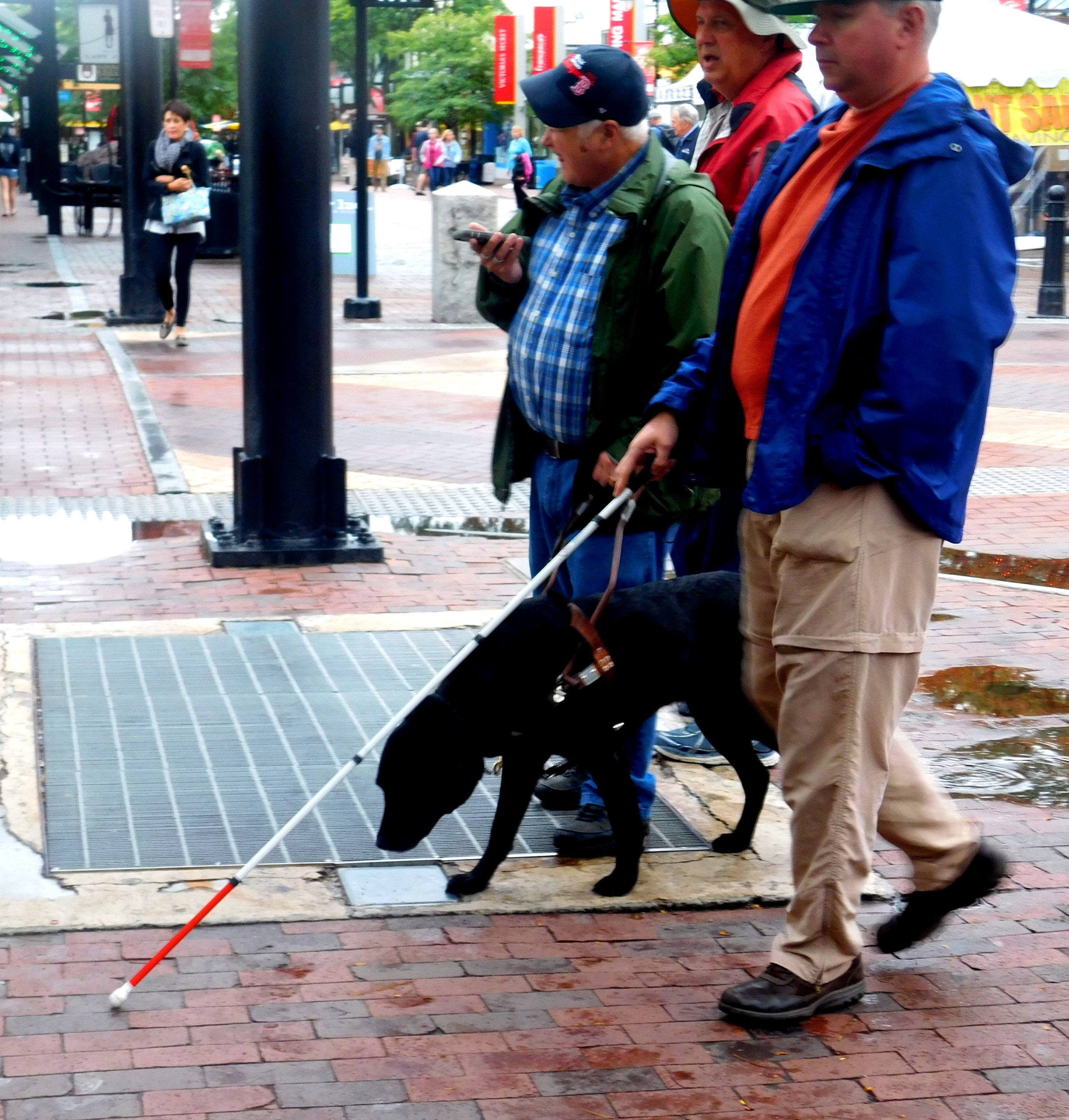 A man embracing an accessible adventure lifestyle walks with a white cane and his black guide dog on a city sidewalk, accompanied by two other adults, one checking his phone.