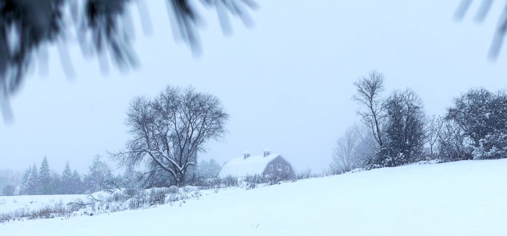 A house with a snow-covered roof sits amid leafless trees and a snowy field on a foggy winter day, with pine branches partially visible at the top of the image.
