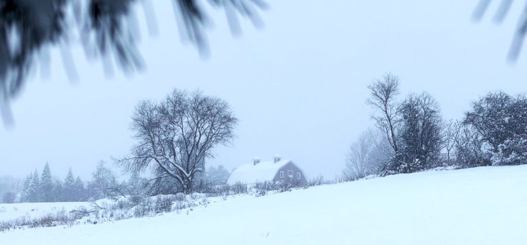 A house with a snow-covered roof sits amid leafless trees and a snowy field on a foggy winter day, with pine branches partially visible at the top of the image.