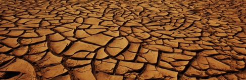Cracked, dry earth forms a pattern of irregular, brown tiles, illustrating severe drought and lack of moisture in the soil.